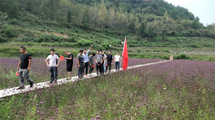 懷化(huà)保安,懷化(huà)押運,懷化(huà)聯網報(bào)警,懷化(huà)市(shì)保安公司