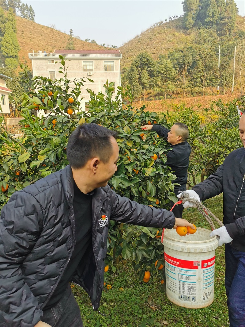 懷化(huà)保安,懷化(huà)押運,懷化(huà)聯網報(bào)警,懷化(huà)市(shì)保安公司