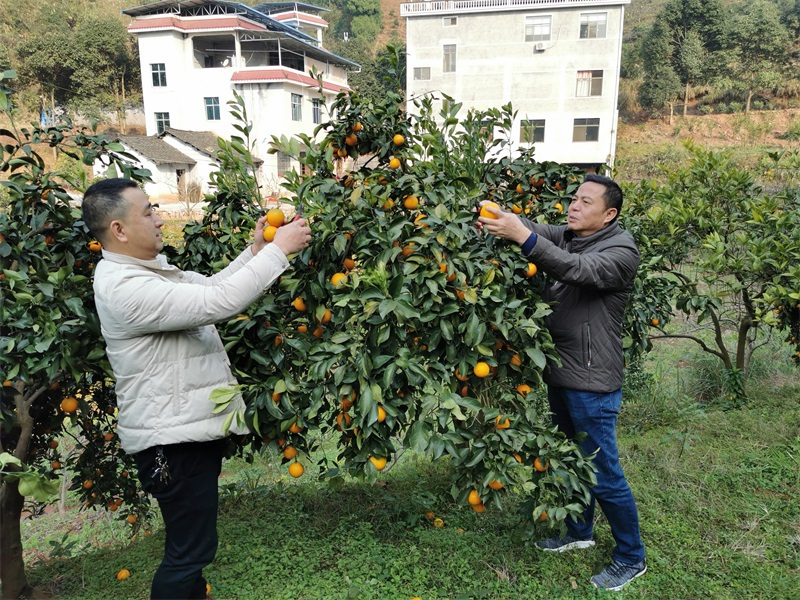 懷化(huà)保安,懷化(huà)押運,懷化(huà)聯網報(bào)警,懷化(huà)市(shì)保安公司