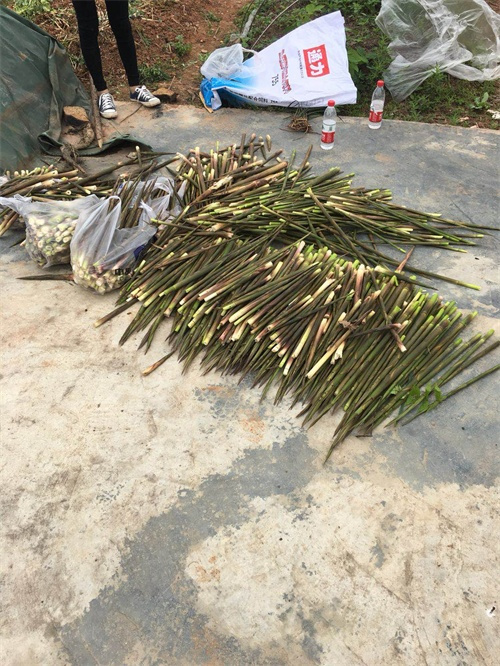 廣東中保維安保安服務集團有限公司,懷化(huà)守護押運,懷化(huà)保安守護服務,保安公司